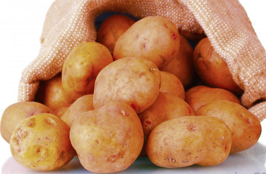 National Irish Potato Programme