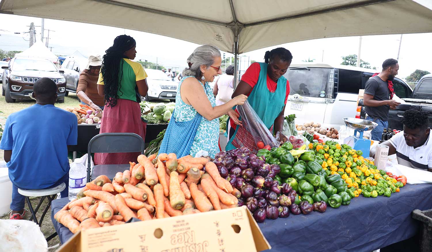 RADA Leads Hurricane Melissa Recovery Efforts