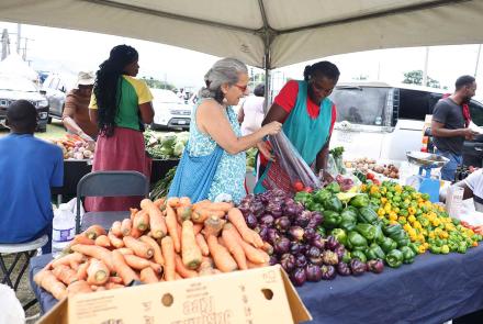 RADA Leads Hurricane Melissa Recovery Efforts