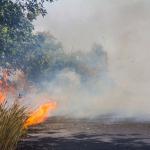 Large Bush Fire