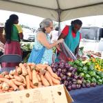 RADA Leads Hurricane Melissa Recovery Efforts